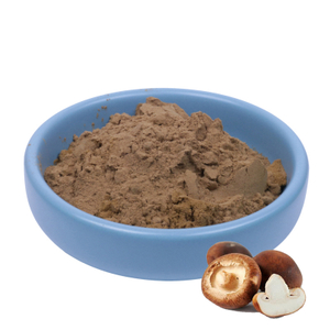 مسحوق فطر شيتاكي العضوي